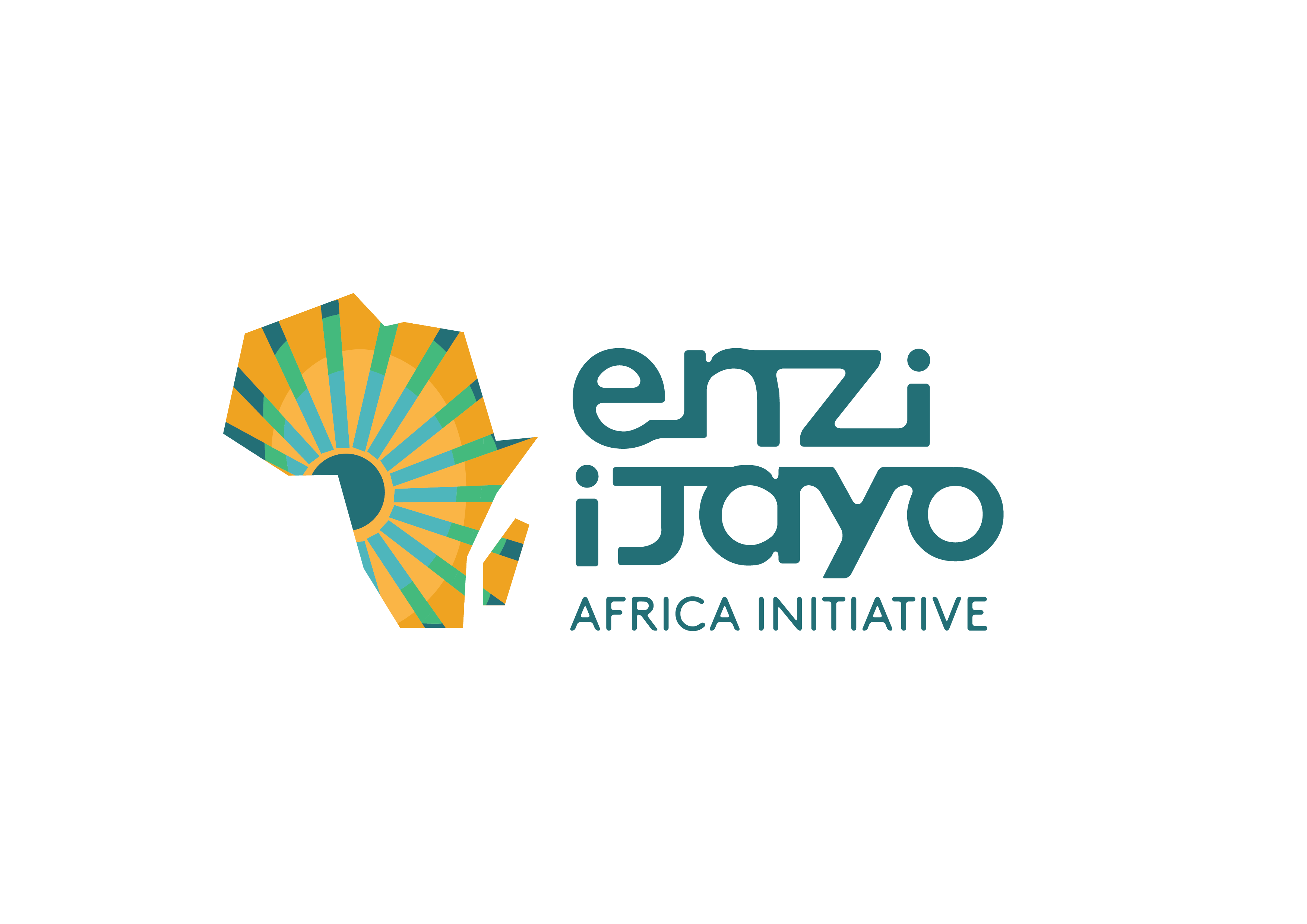 Enzi Ijayo AFRICA INITIATIVE Light Background