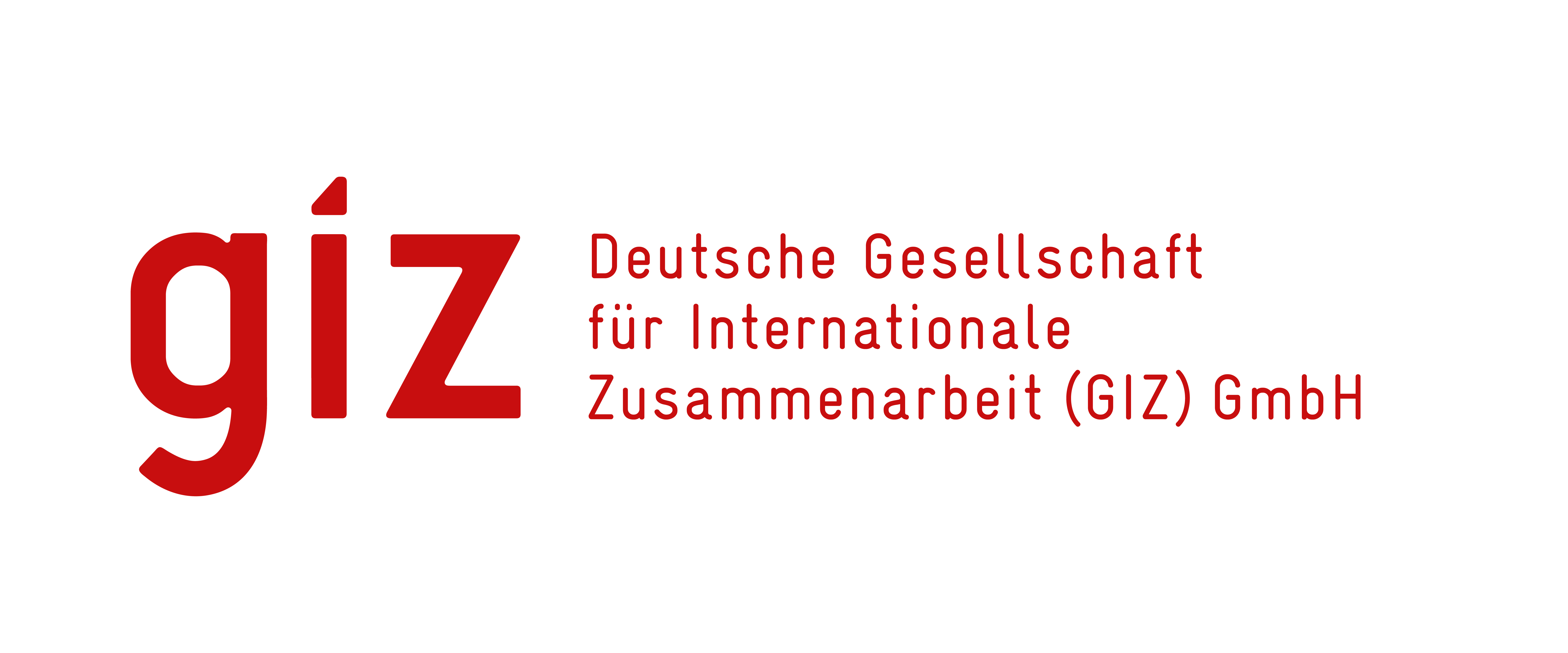 GIZ Logo Updated