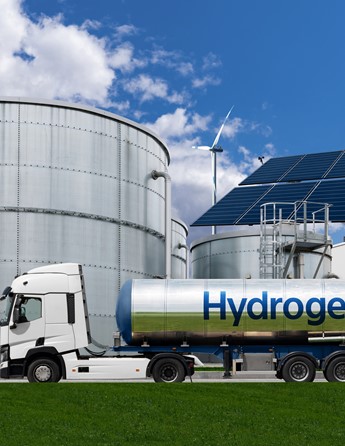 Shutterstock 2169167325