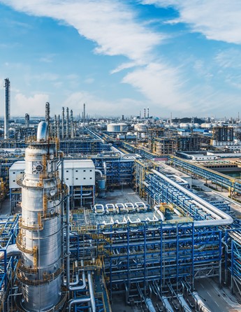 Shutterstock 2470556115